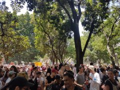 Invasion Day 2019 Sydney rally