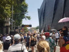 Invasion Day Sydney rally