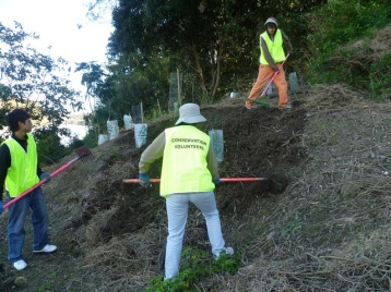Conservation Volunteers Australia. Photo by Brisbane City Council via Flickr