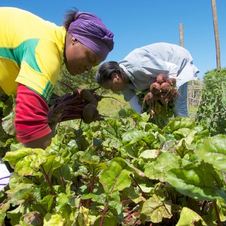 Ecological farming techniques passed onto people living with HIV and AIDS in Hamburg, South Africa. Photo: PWRDF via Flickr.