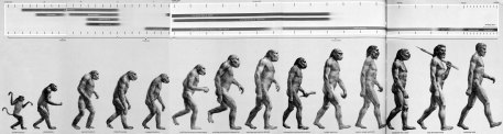 Rudolph Franz Zallinger, “The Road to Homo Sapiens,” in F. Clark Howell, Early Man (Time-Life Books, 1965)
