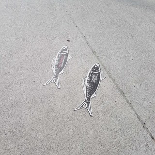 Blck and white fish stickers on the ground say "Sydney Festival"
