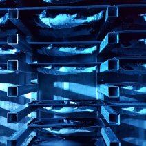 Blue-lit ice trays holding a dozen ice fish, with one gap left for mine