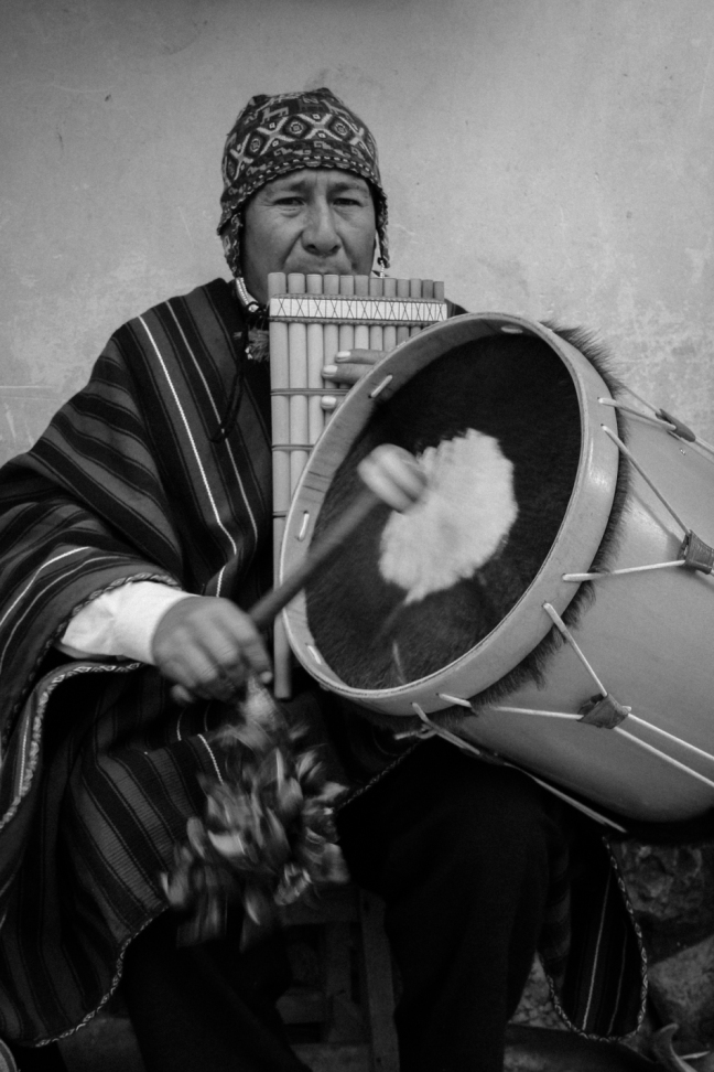 Quechuan musician simultaneously plays the siku - pan pipes - and a drum