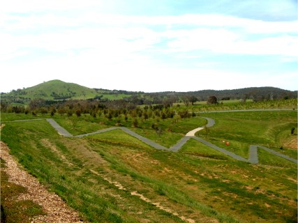 Forests at the National Arboretum Canberra
