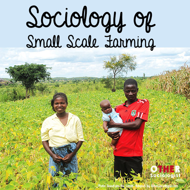 Sociology of small scale farming
