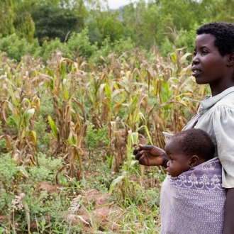 Woman farmer in Mwanza District, Malawi. Photo: Swathi Sridharan, via Flickr